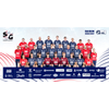 SG Flensburg-Handewitt